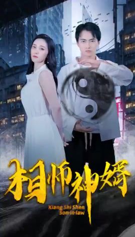 相师神婿封面