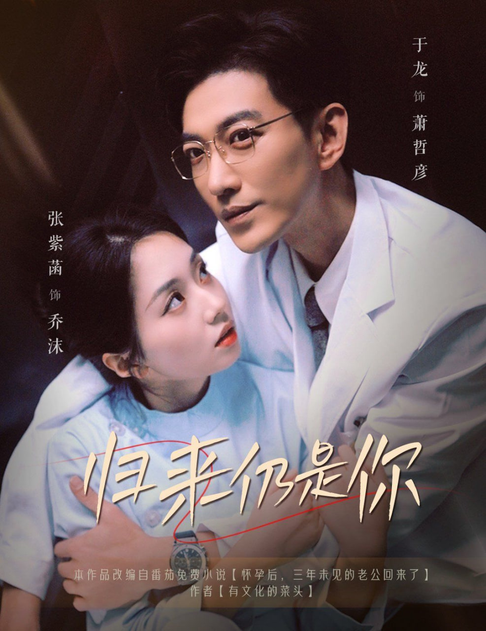 归来仍是你封面
