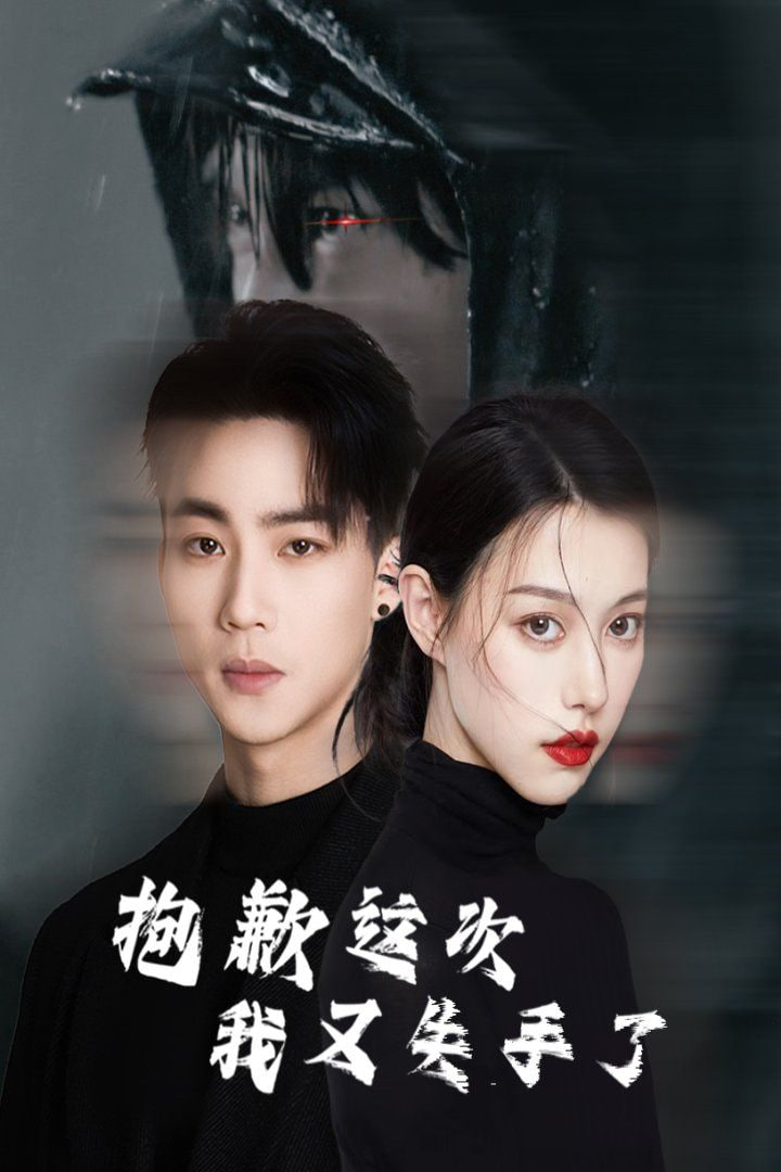 抱歉这次我又失手了封面