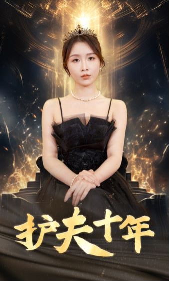 护夫十年封面