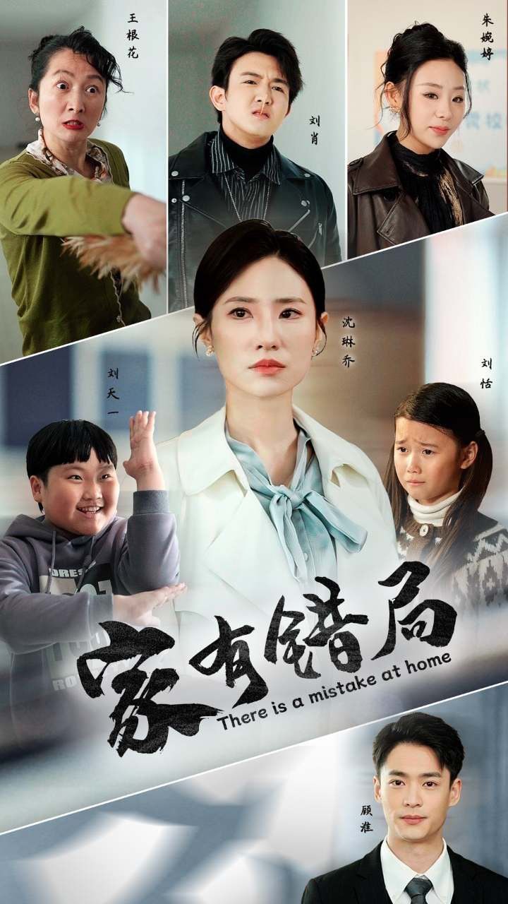 家有错局封面