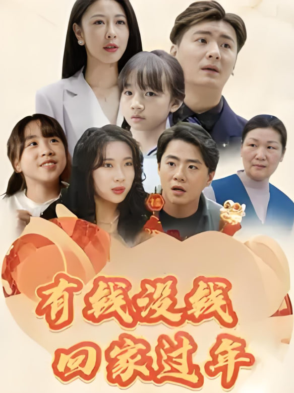 有钱没钱回家过年封面