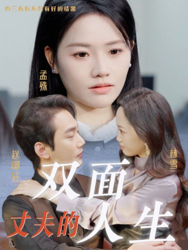 丈夫的双面人生封面