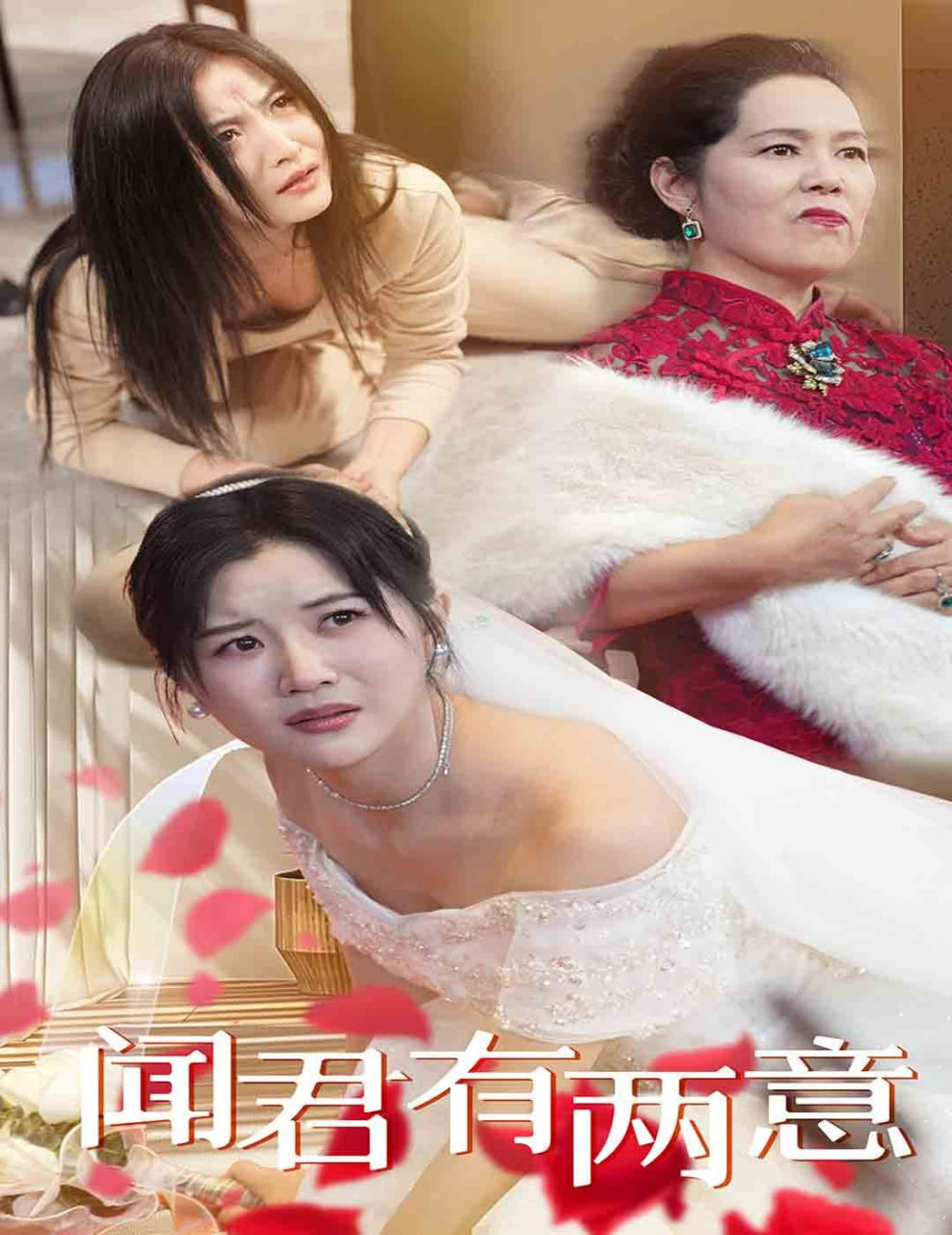 闻君有两意封面