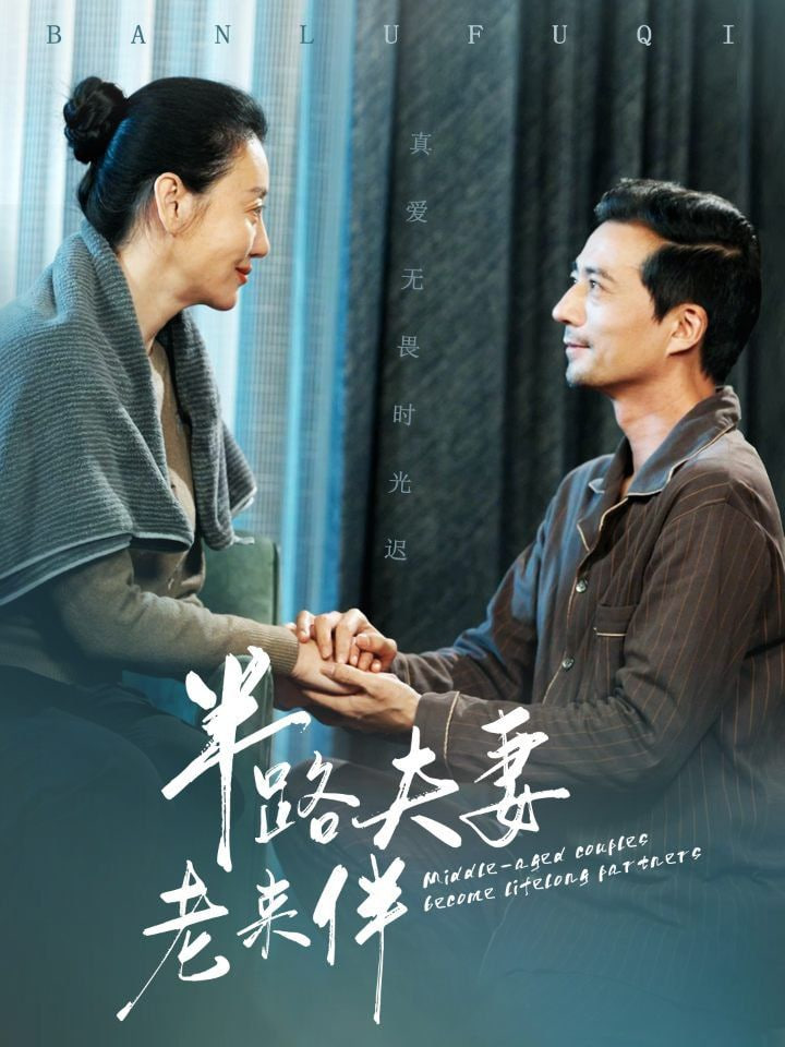 半路夫妻老来伴封面