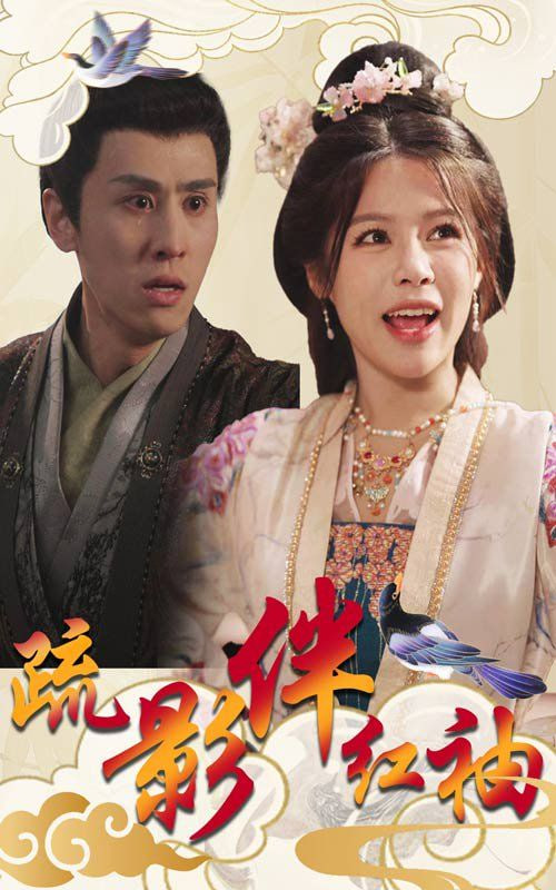 疏影伴红袖封面