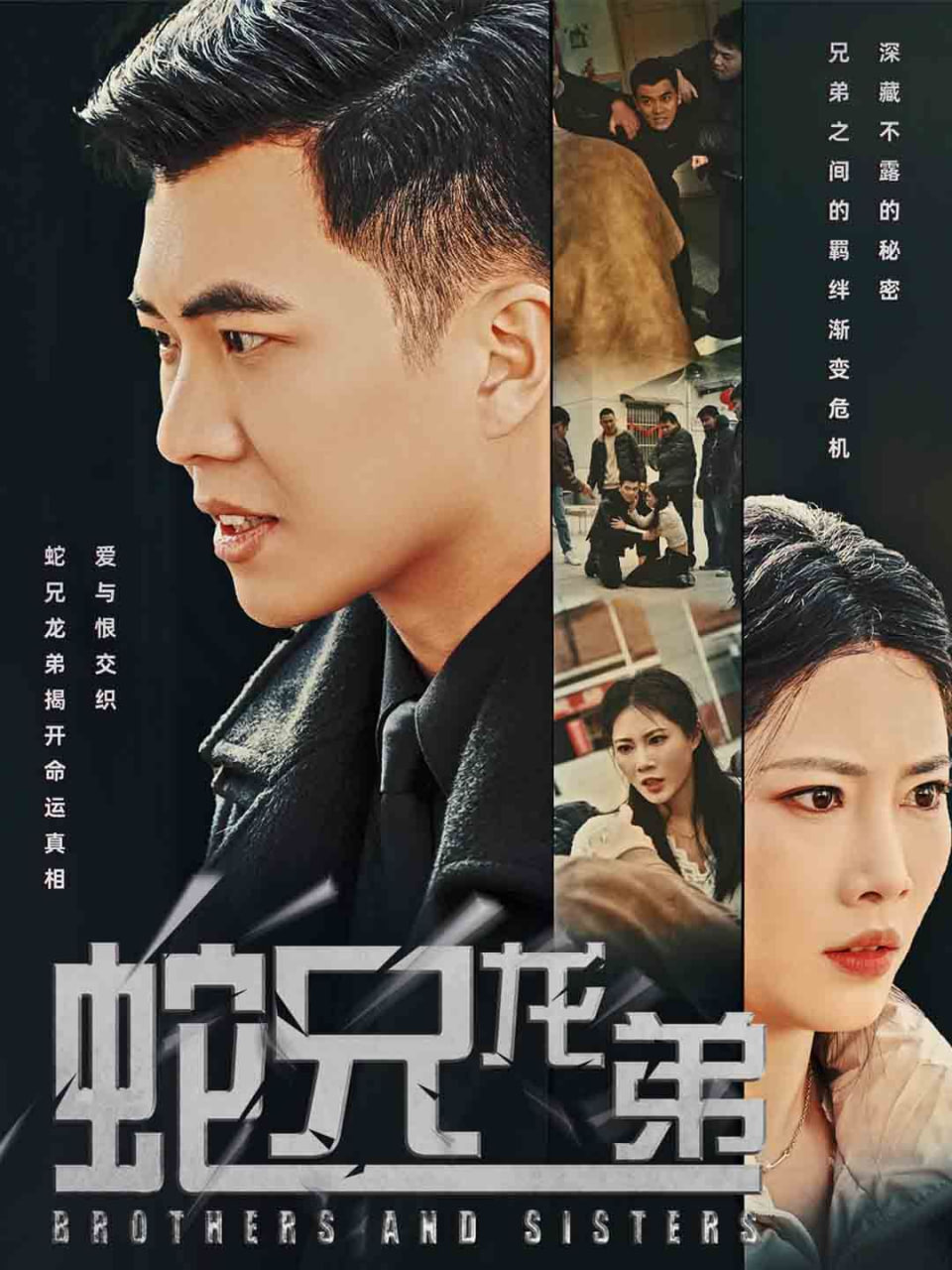 蛇兄龙弟封面