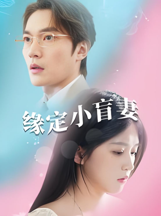 缘定小盲妻封面
