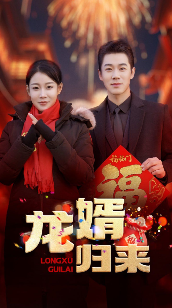 龙婿归来封面
