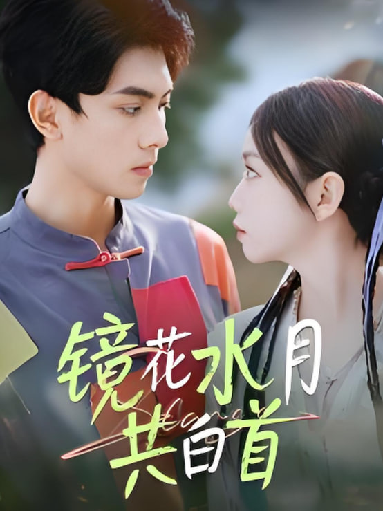 镜花水月共白首封面