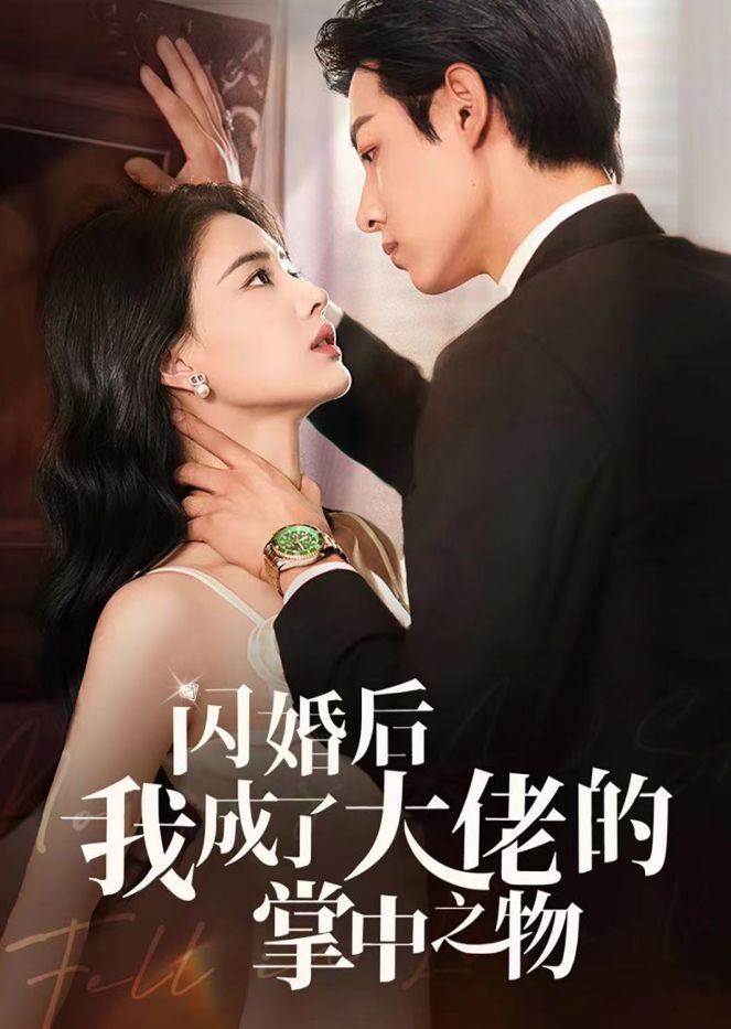 闪婚后我成了大佬的掌中之物封面