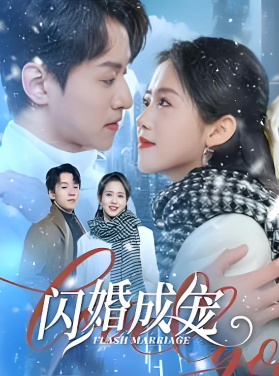 闪婚成宠封面