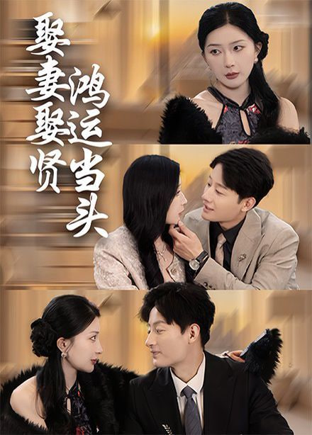 娶妻娶贤鸿运当头封面