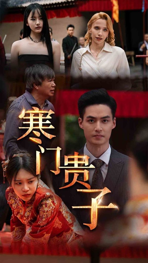 寒门贵子封面