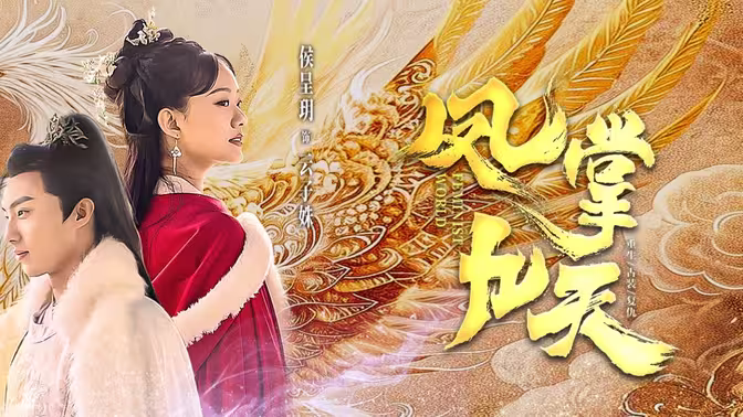 凤掌九天封面