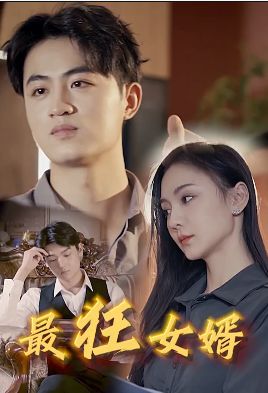 最狂女婿封面