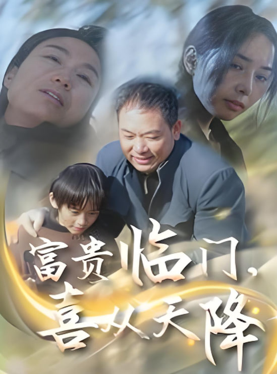 富贵临门喜从天降封面