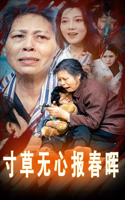 寸草无心报春晖封面