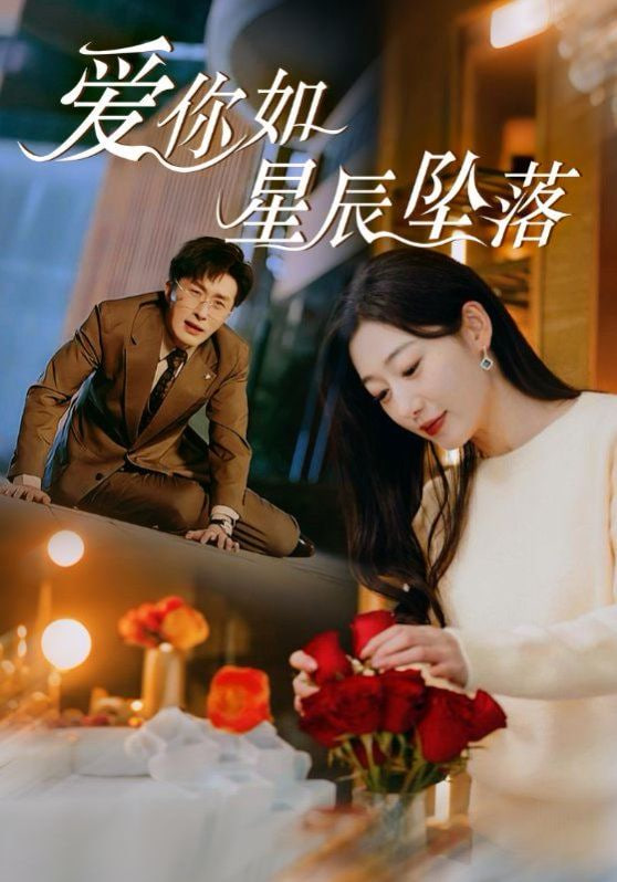 爱你如星辰坠落封面