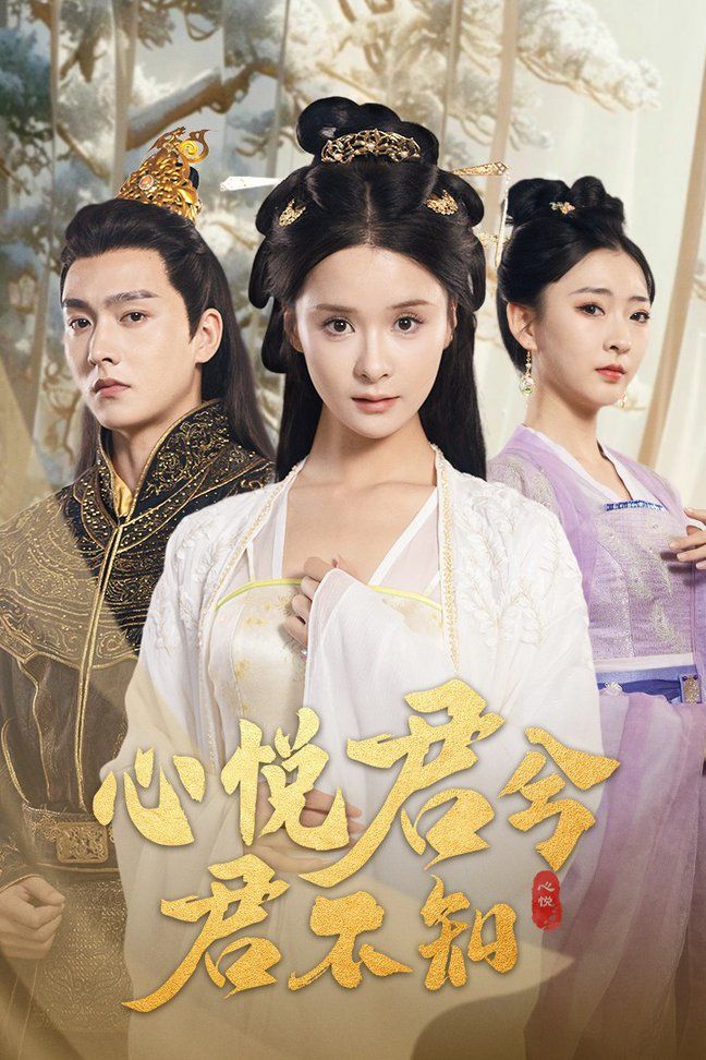 心悦君兮君不知封面