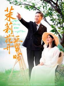 茉莉花开正当时封面