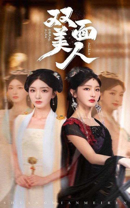 双面美人封面