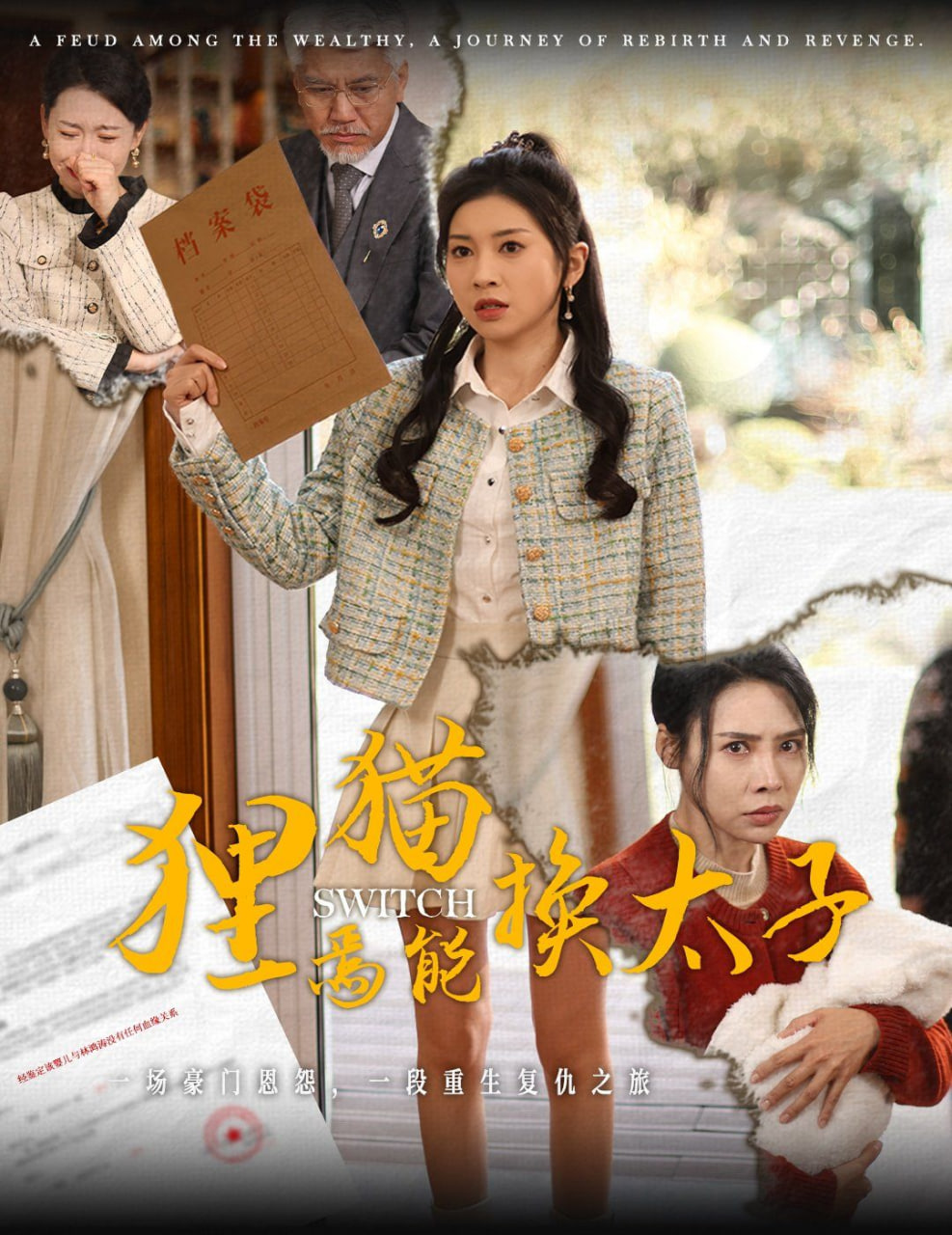 狸猫焉能换太子封面