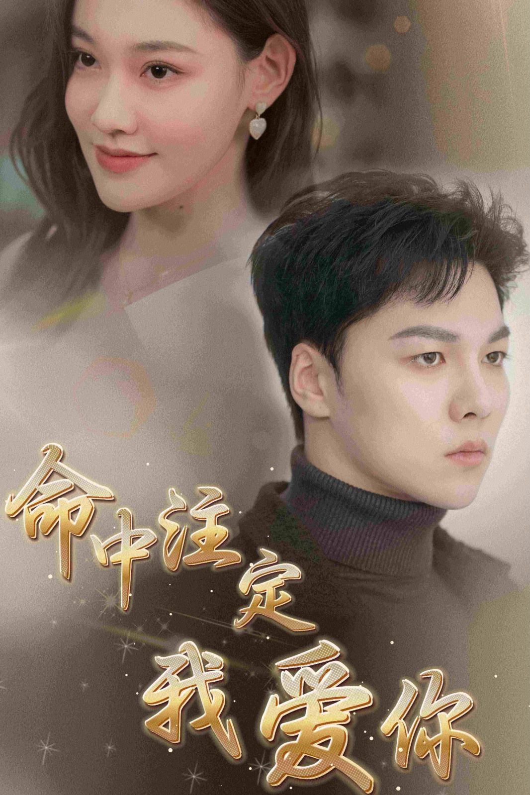 新命中注定我爱你封面