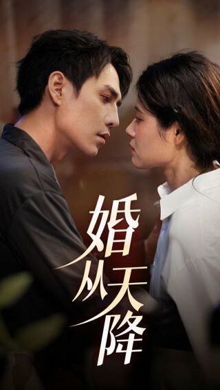 婚从天降封面