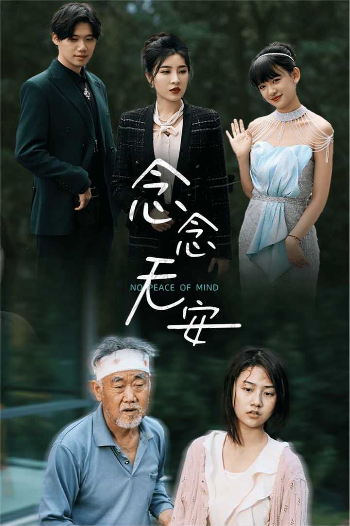 念念无安封面