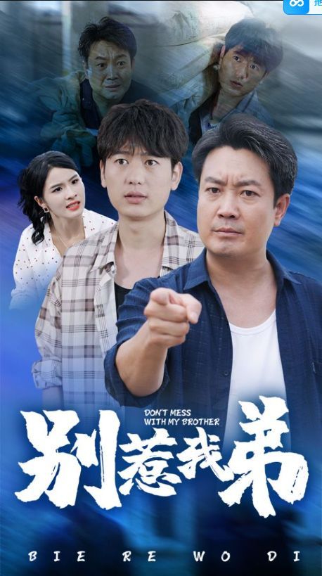 别惹我弟封面
