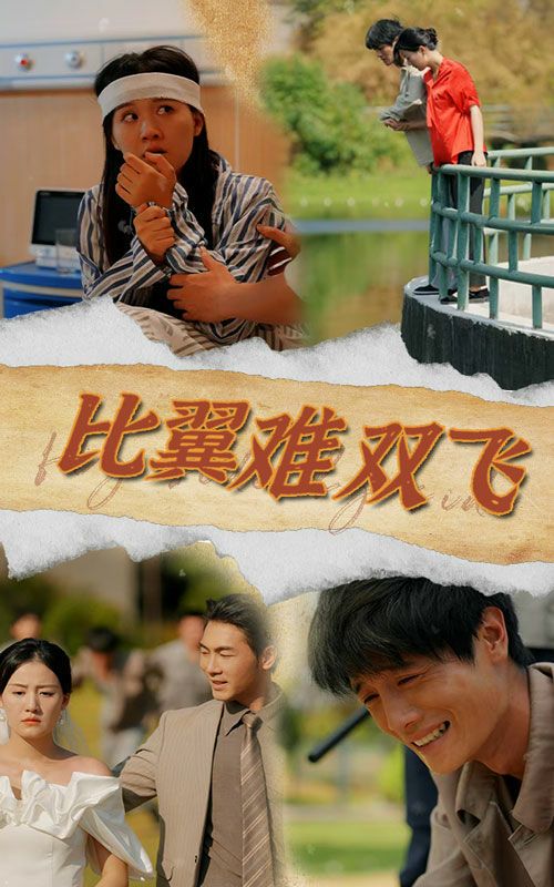 比翼难双飞封面