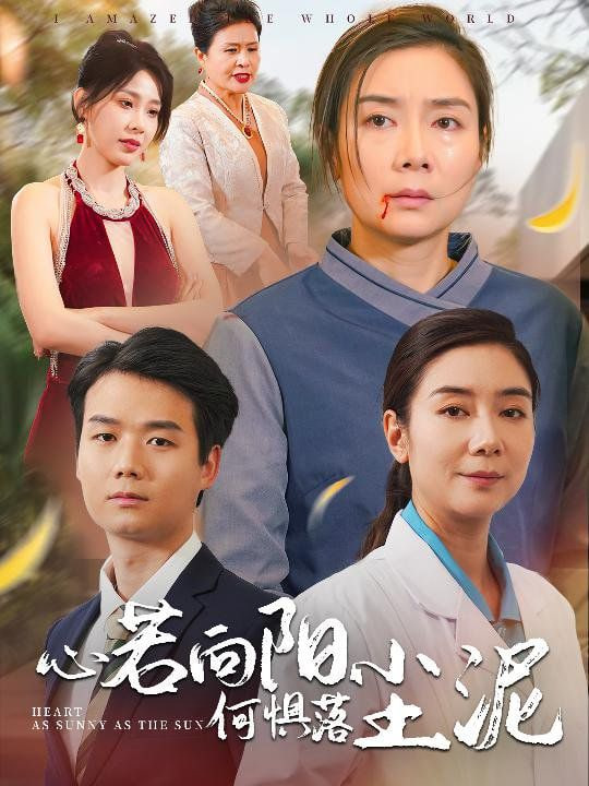 心若向阳何惧落尘泥封面