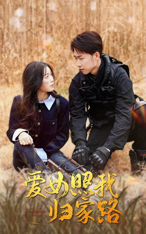 爱女照我归家路封面