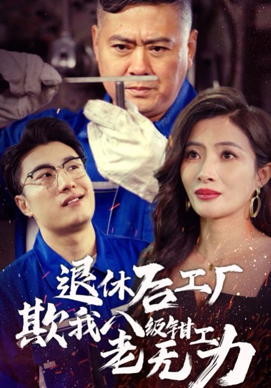 退休后工厂欺我八级钳工老无力封面