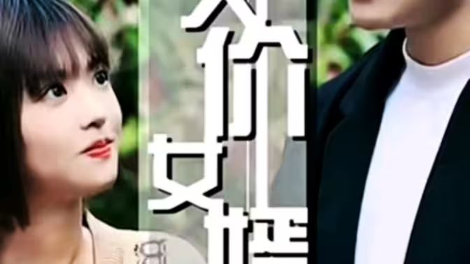 天价女婿封面
