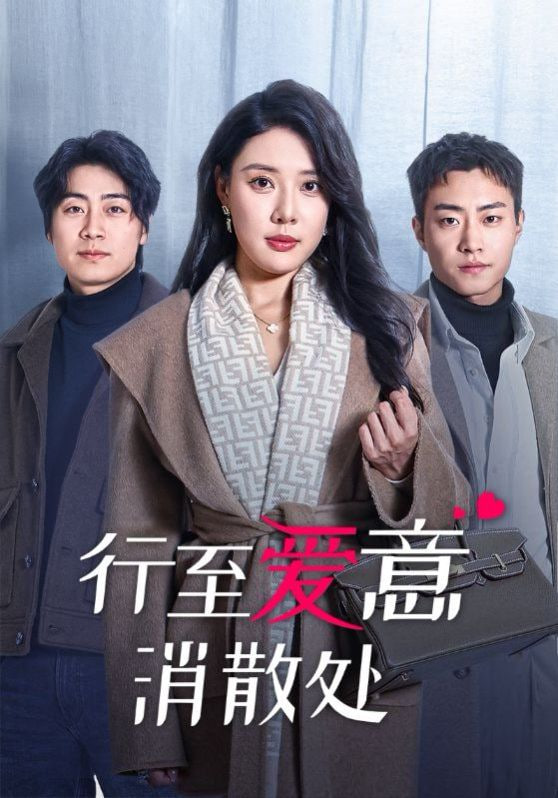 行至爱意消散处封面