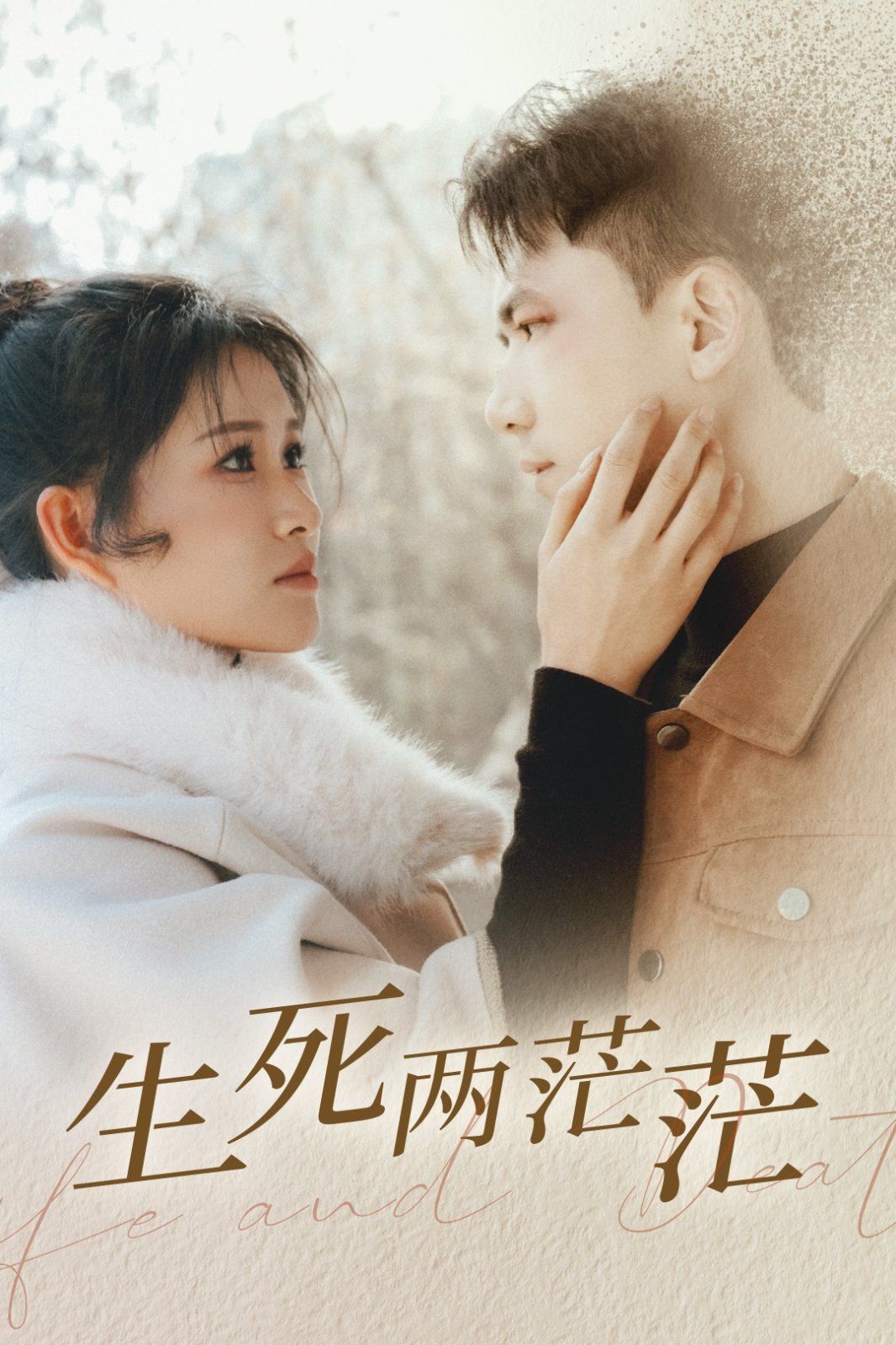生死两茫茫封面