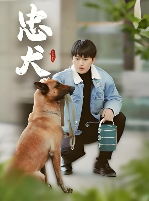 忠犬封面