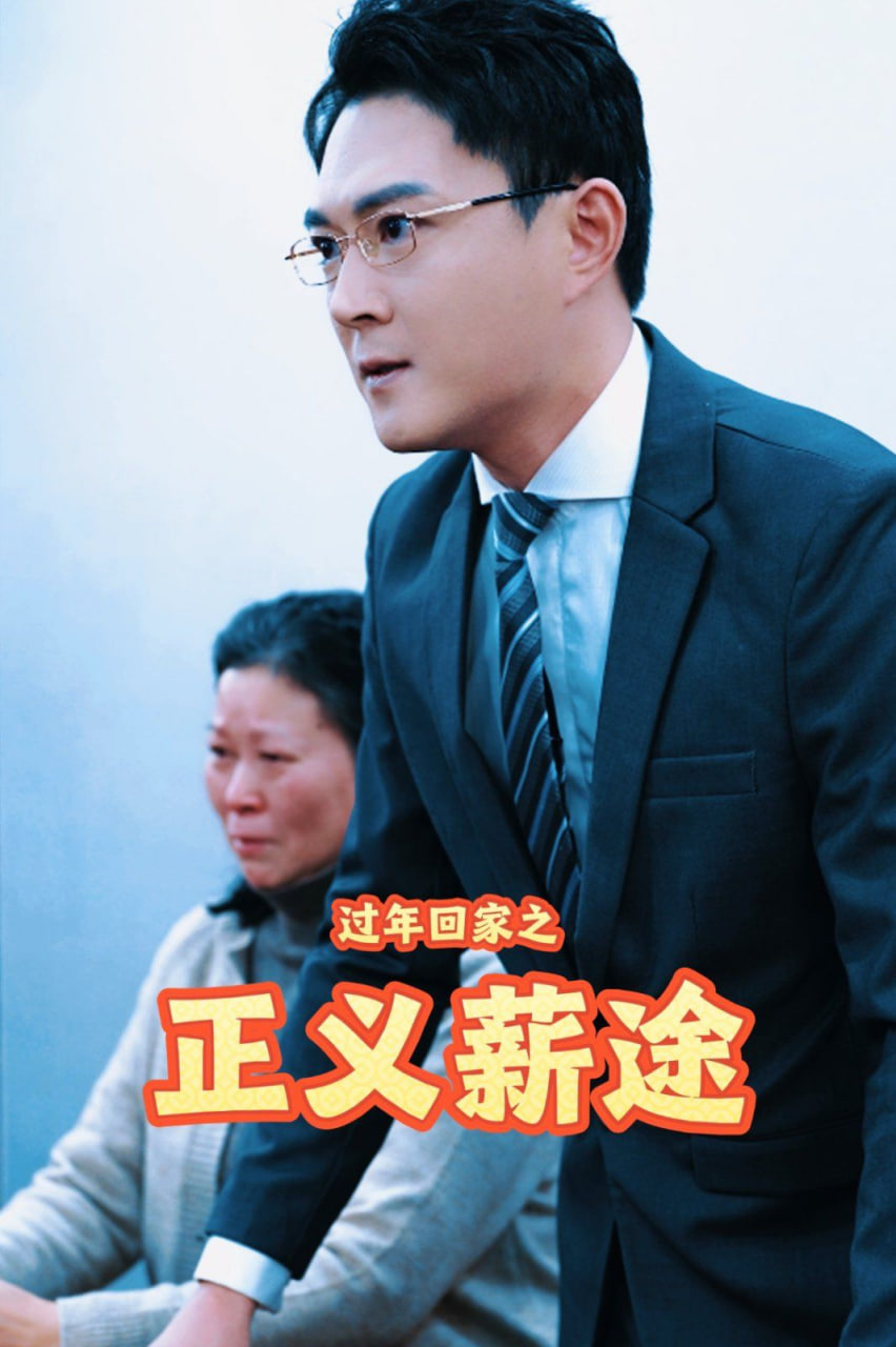 过年回家之正义薪途封面
