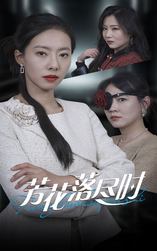芳花落尽时封面