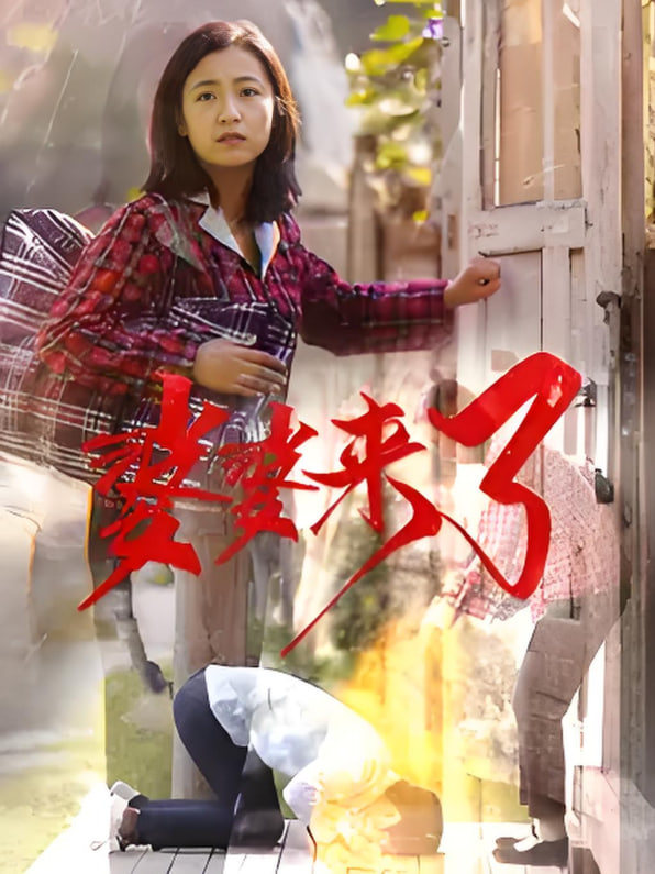 安澜进城封面
