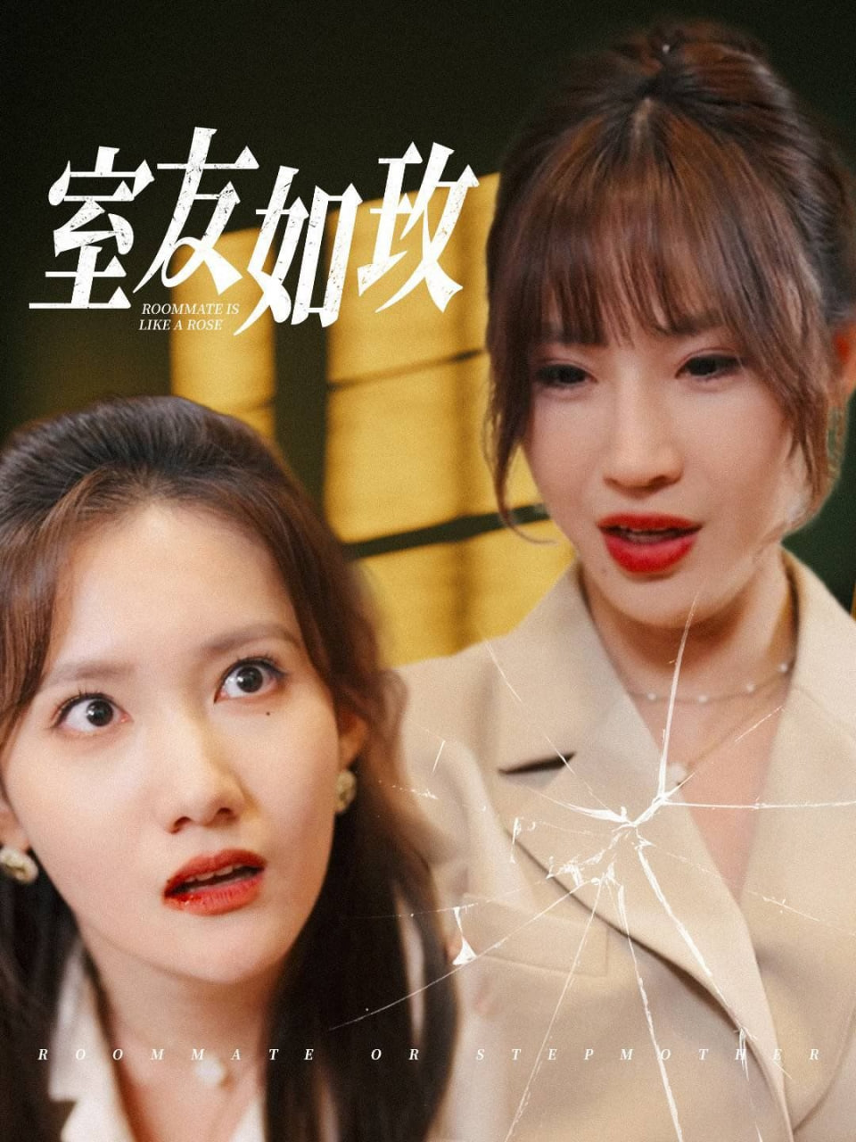 室友如玫封面