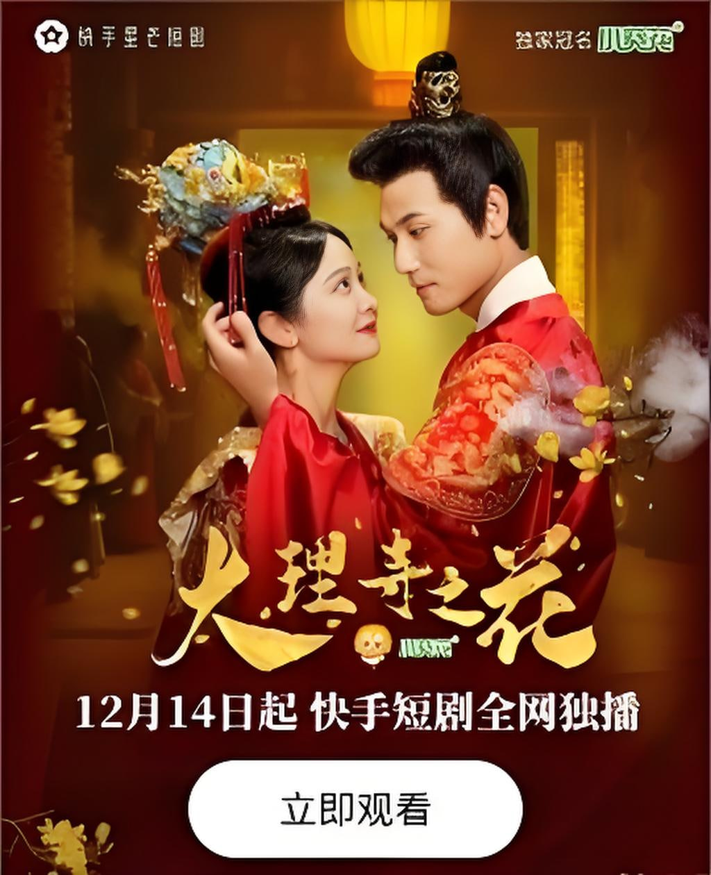 大理寺之花封面