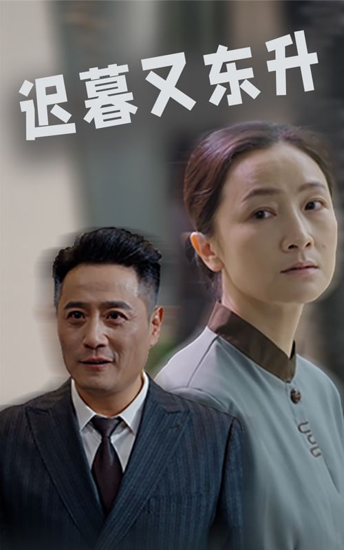 迟暮又东升封面