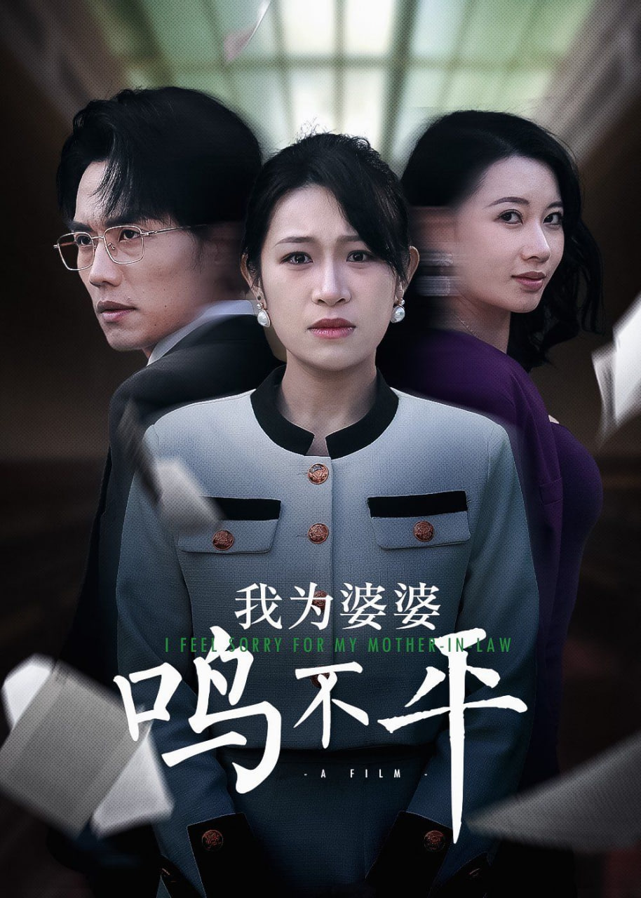 正义较量（我为婆婆鸣不平）封面