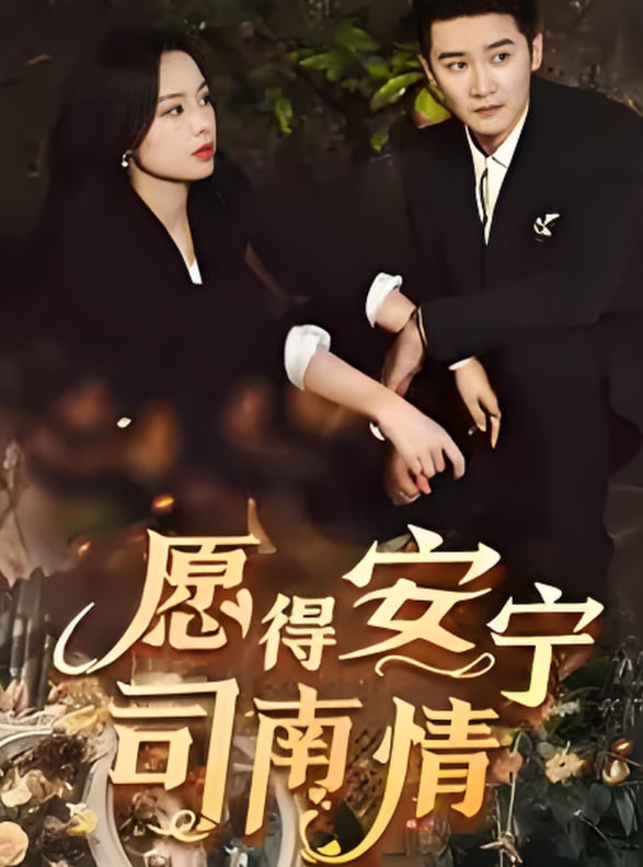 愿得安宁司南情封面