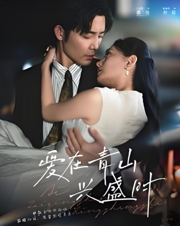 爱在青山兴盛时封面