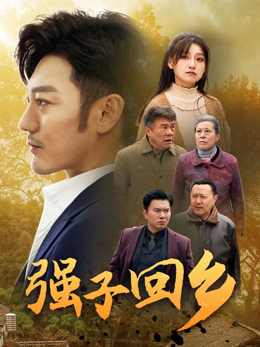 强子回乡封面