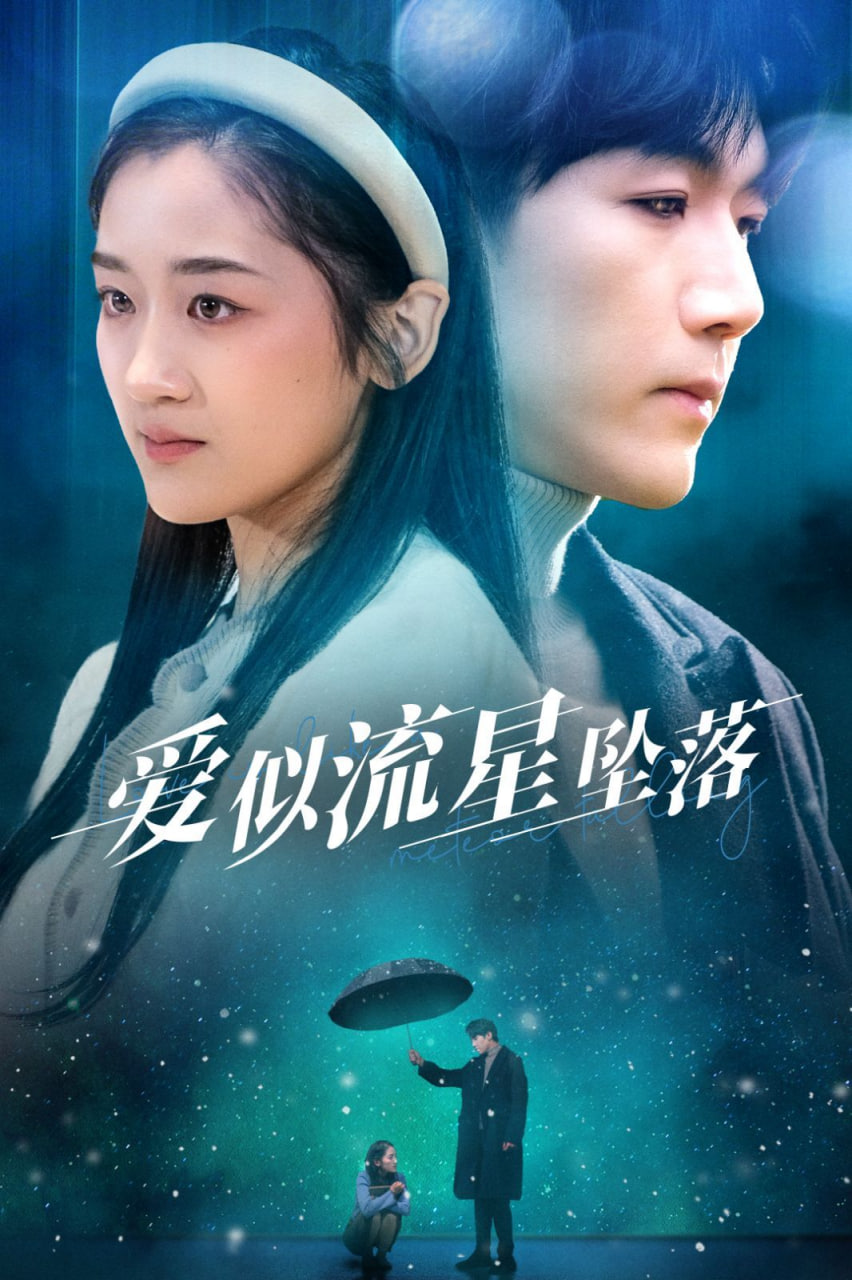 爱似流星坠落封面